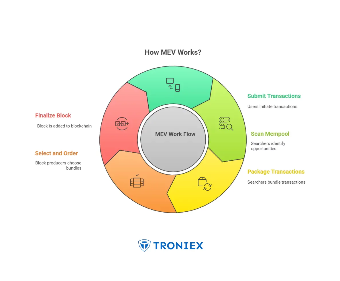 Modular MEV 2026: AI Strategies for Cross-Chain Yield