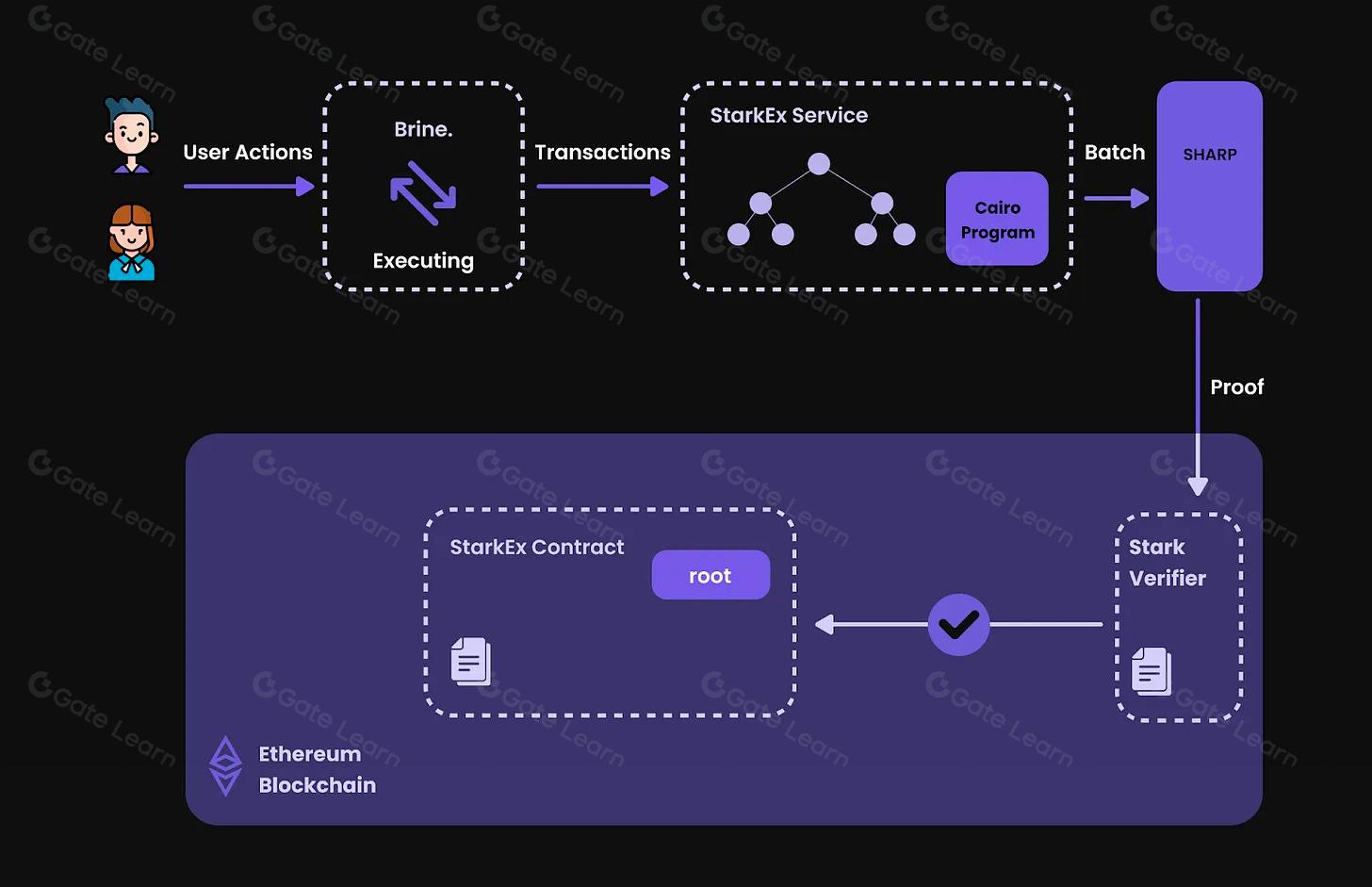 zero-knowledge proofs DeFi auction